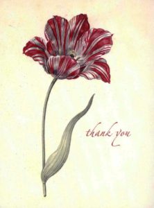 Dutch Tulip Boxed Thank You Cards-0