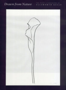 Drawn from Nature: The Plant Lithographs of Ellsworth Kelly-0